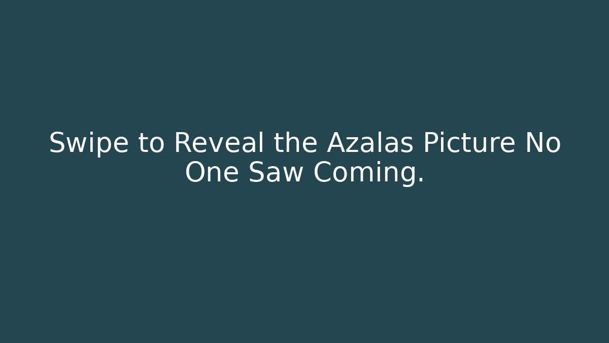 Swipe to Reveal the Azalas Picture No One Saw Coming.