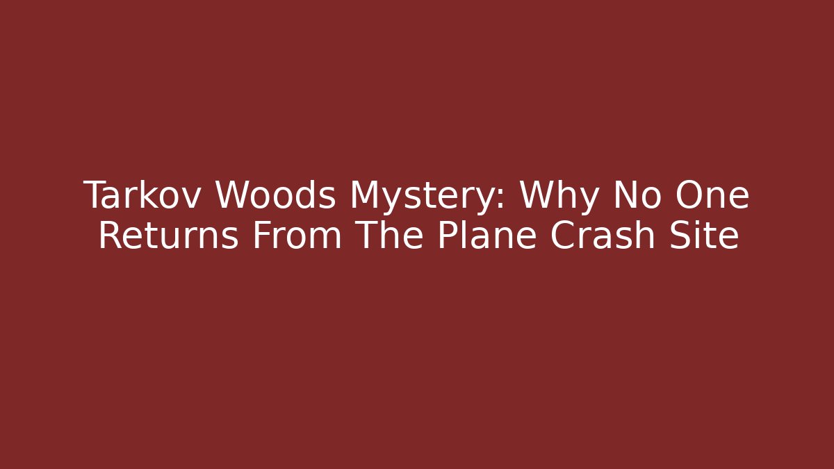 Tarkov Woods Mystery: Why No One Returns From The Plane Crash Site