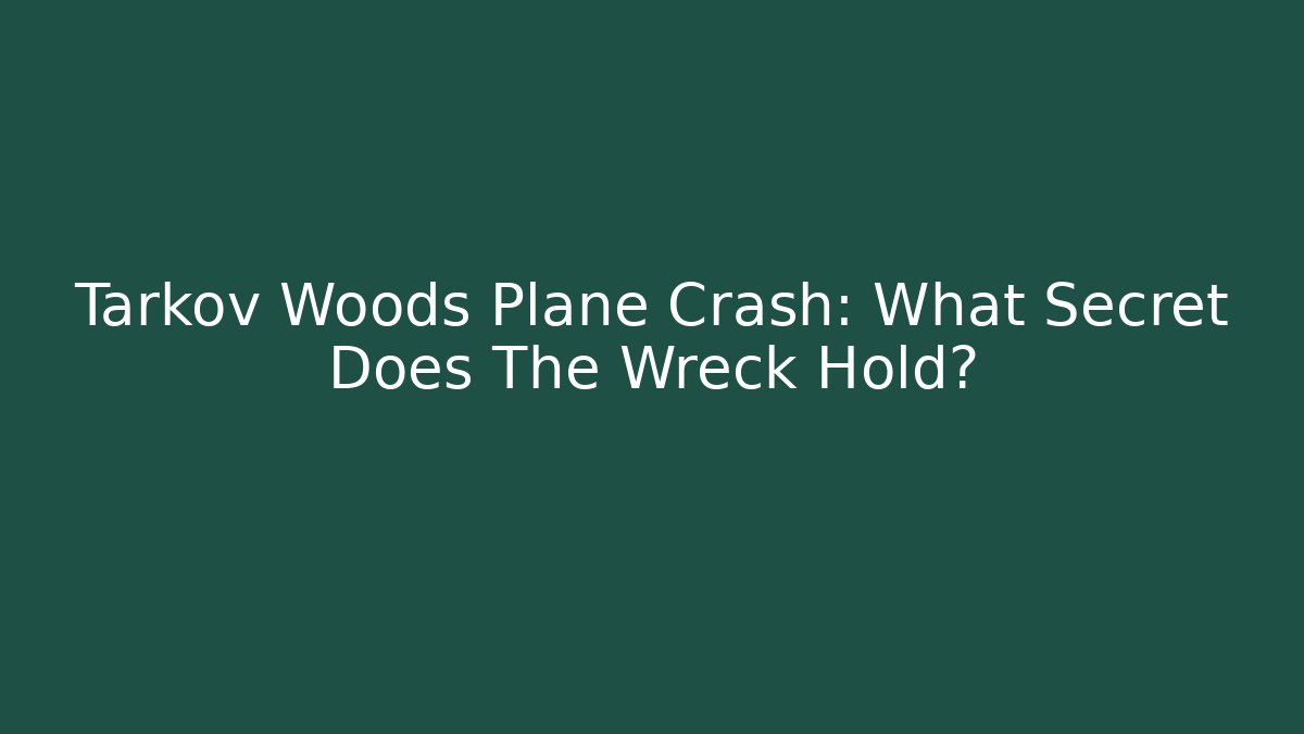 Tarkov Woods Plane Crash: What Secret Does The Wreck Hold? - Método de Aprovação