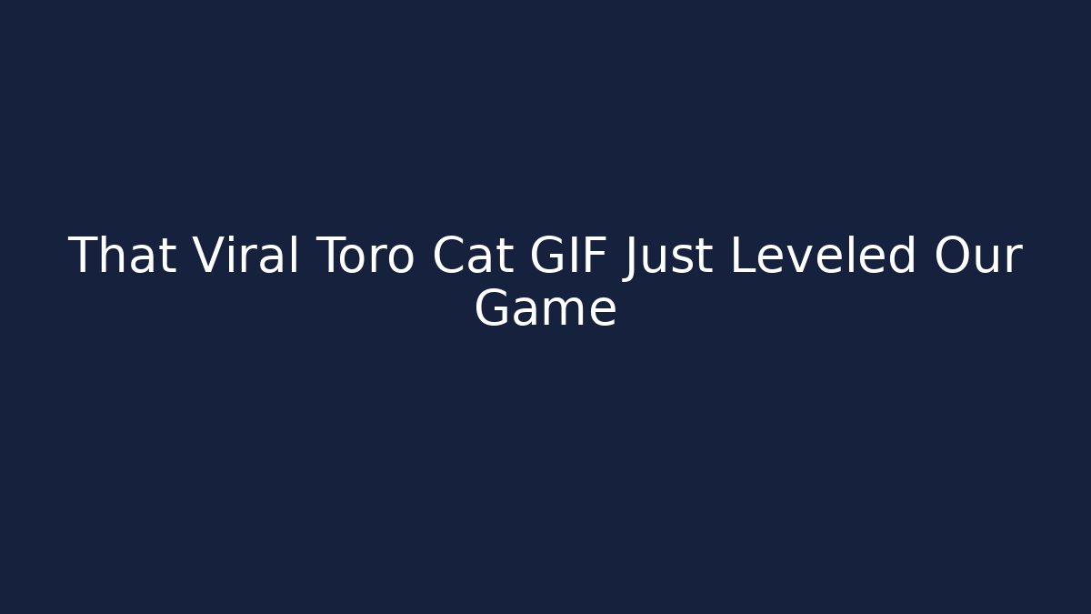 That Viral Toro Cat GIF Just Leveled Our Game