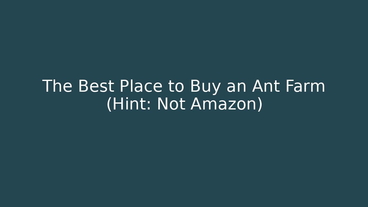 The Best Place to Buy an Ant Farm (Hint: Not Amazon)
