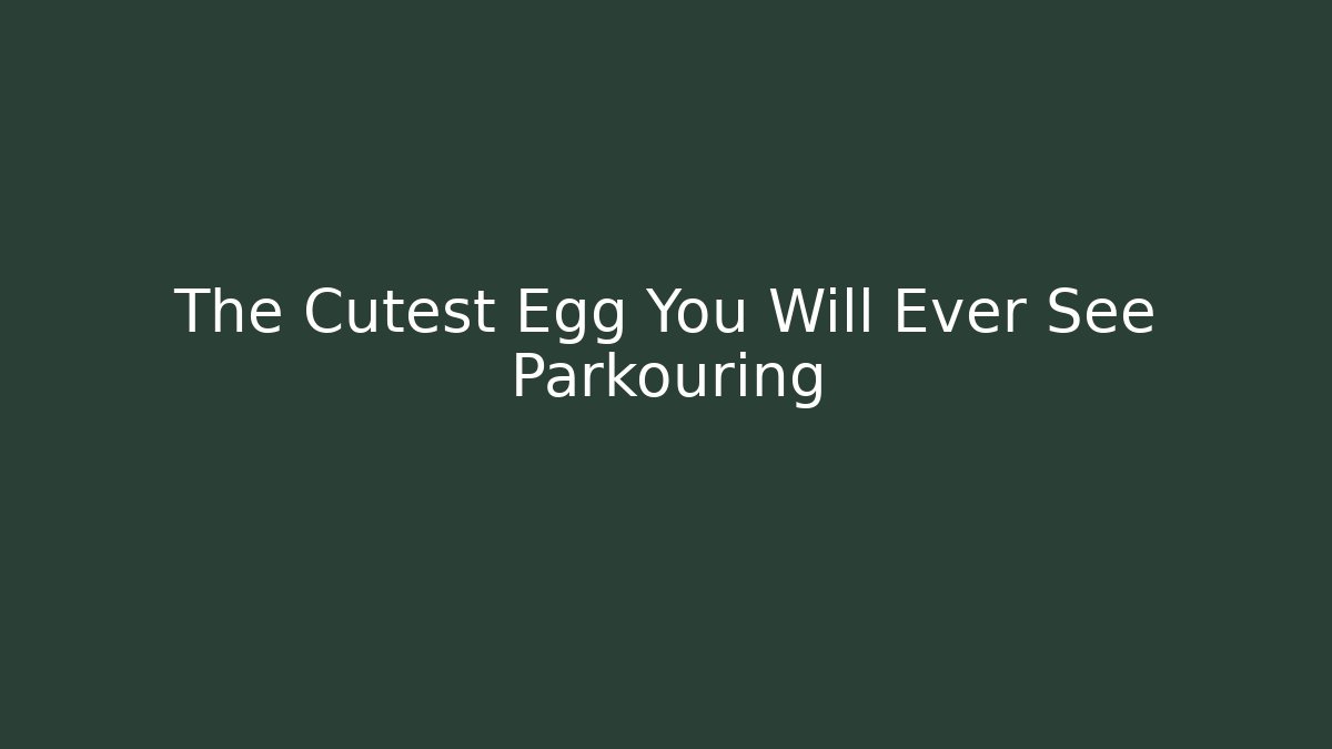 The Cutest Egg You Will Ever See Parkouring