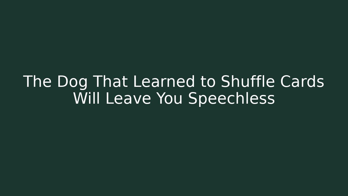 The Dog That Learned to Shuffle Cards Will Leave You Speechless