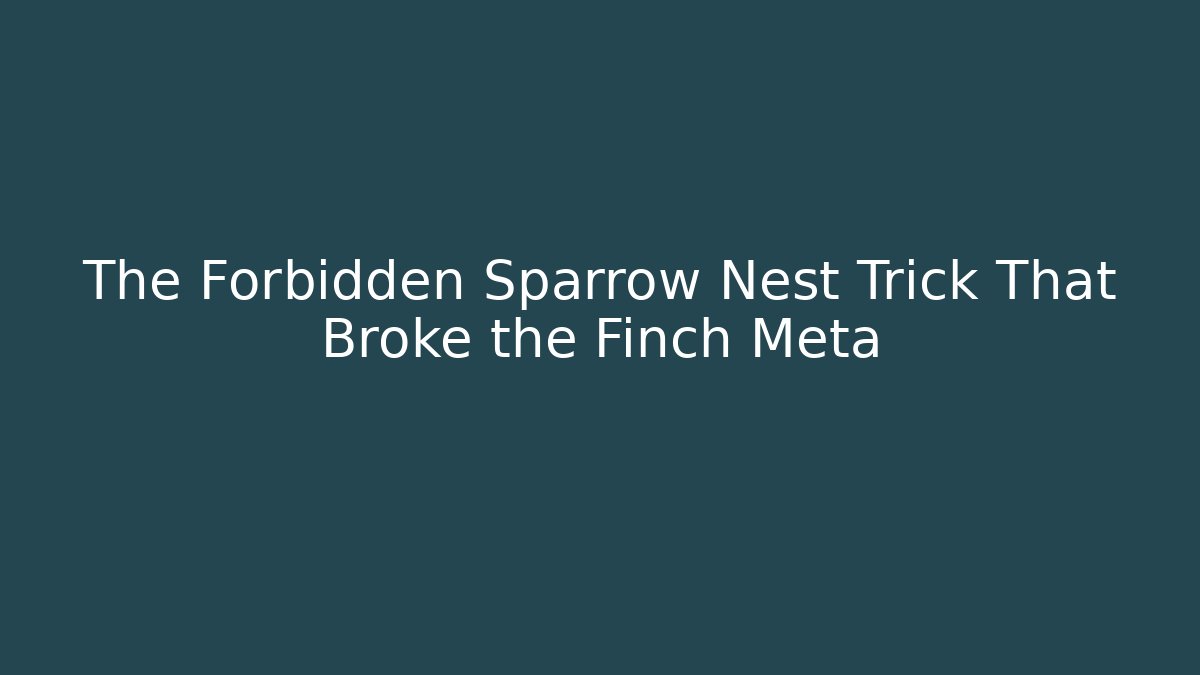 The Forbidden Sparrow Nest Trick That Broke the Finch Meta