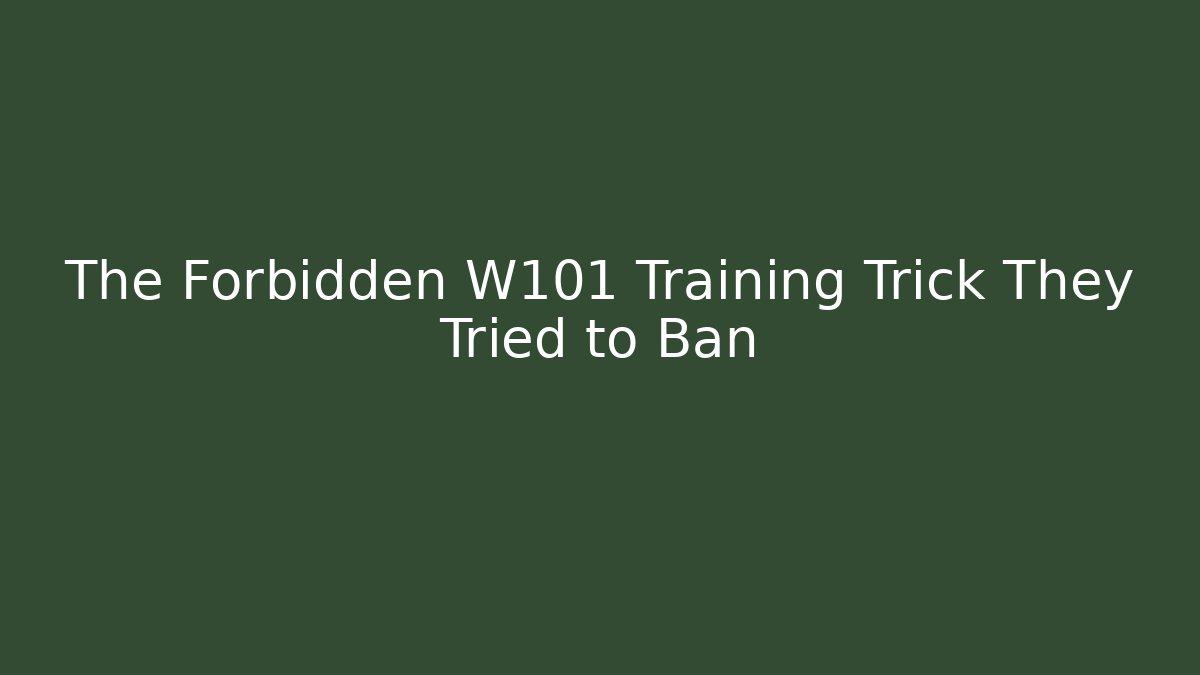 The Forbidden W101 Training Trick They Tried to Ban