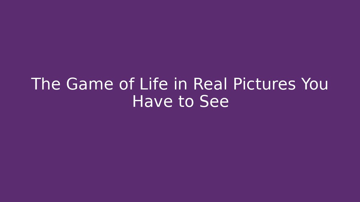 The Game of Life in Real Pictures You Have to See