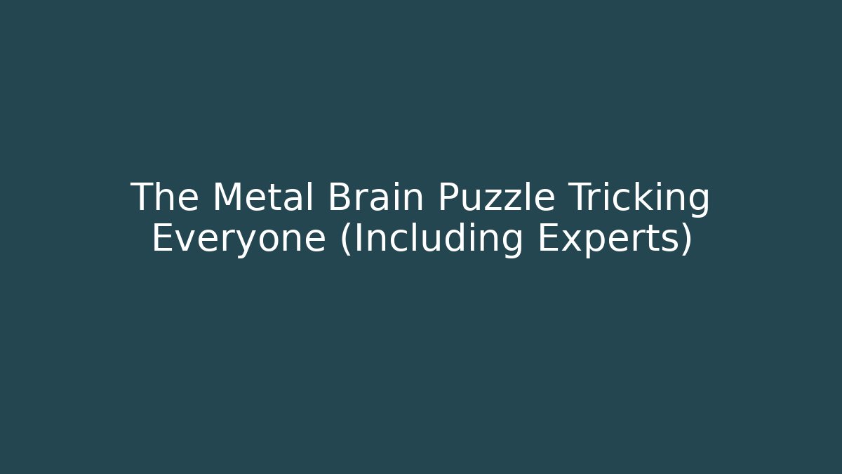 The Metal Brain Puzzle Tricking Everyone (Including Experts)