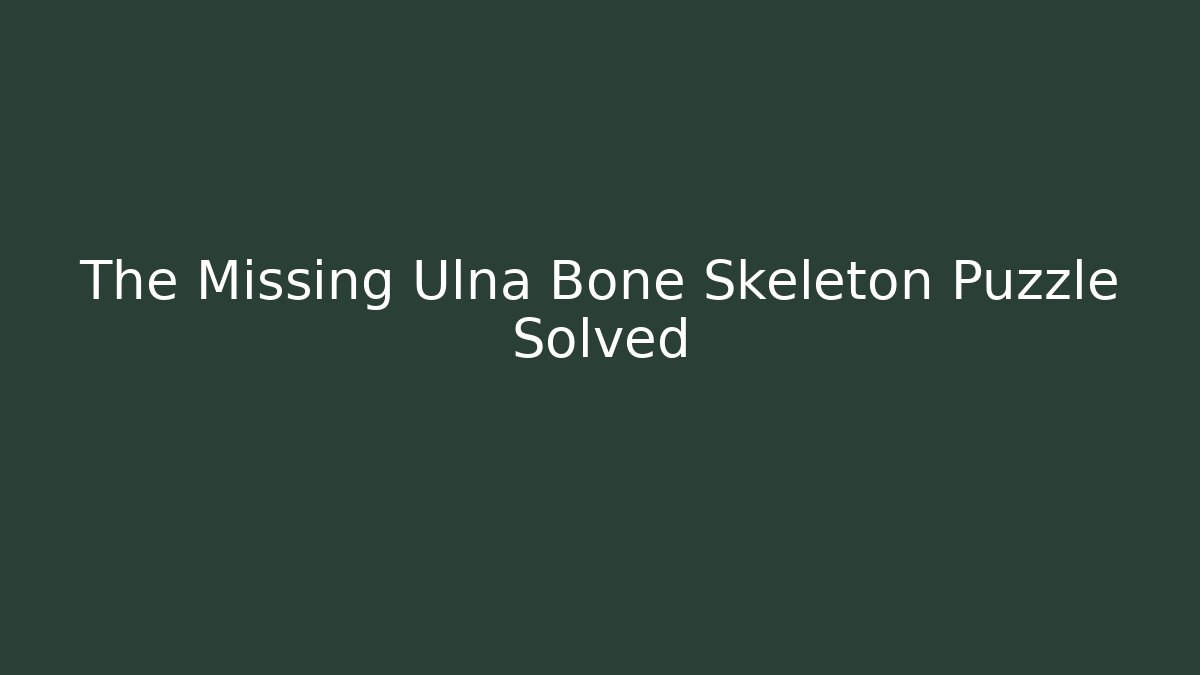 The Missing Ulna Bone Skeleton Puzzle Solved