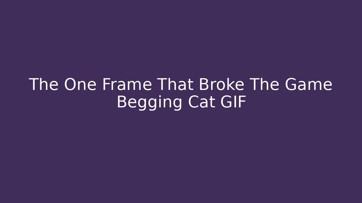 The One Frame That Broke The Game Begging Cat GIF