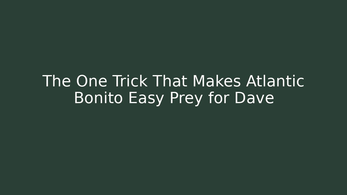 The One Trick That Makes Atlantic Bonito Easy Prey for Dave