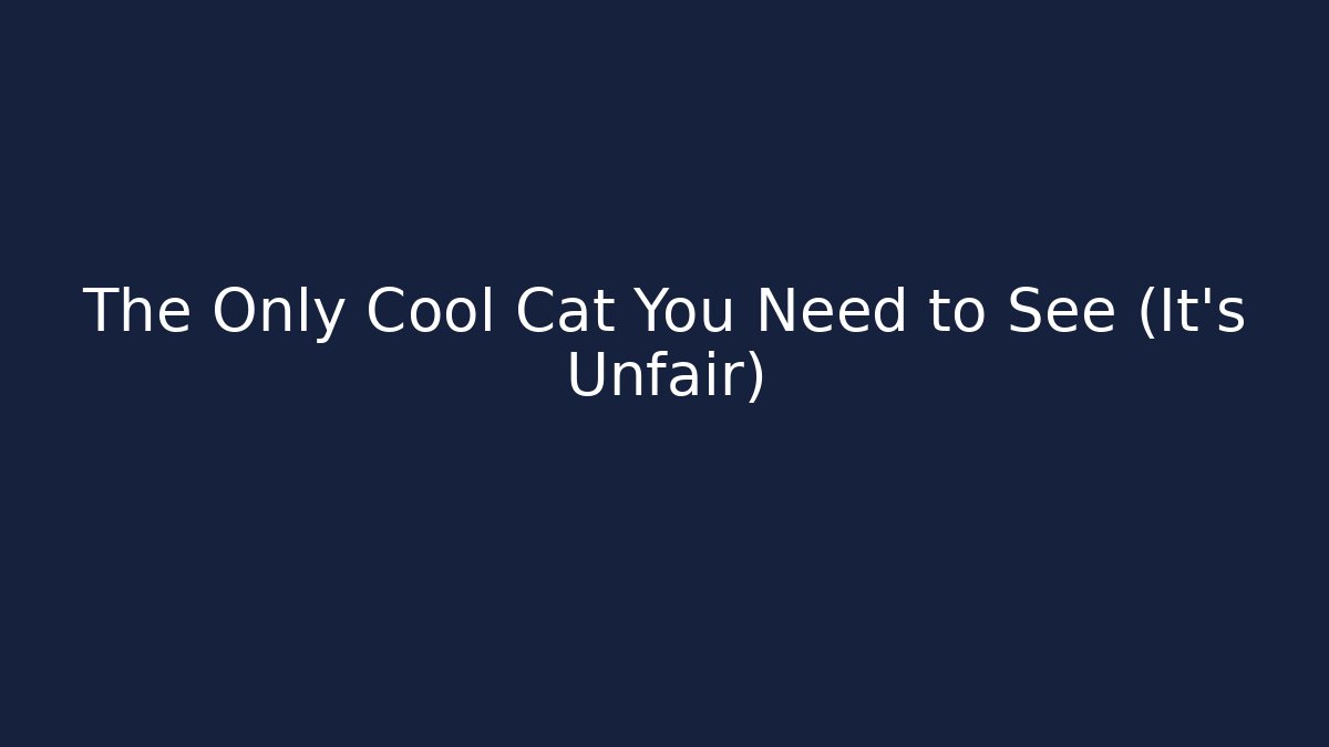 The Only Cool Cat You Need to See (It's Unfair)