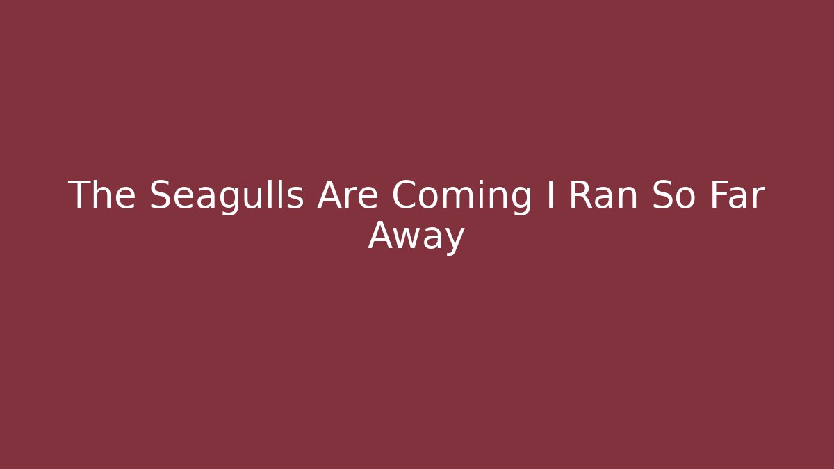 The Seagulls Are Coming I Ran So Far Away