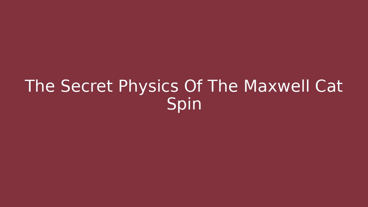 The Secret Physics Of The Maxwell Cat Spin