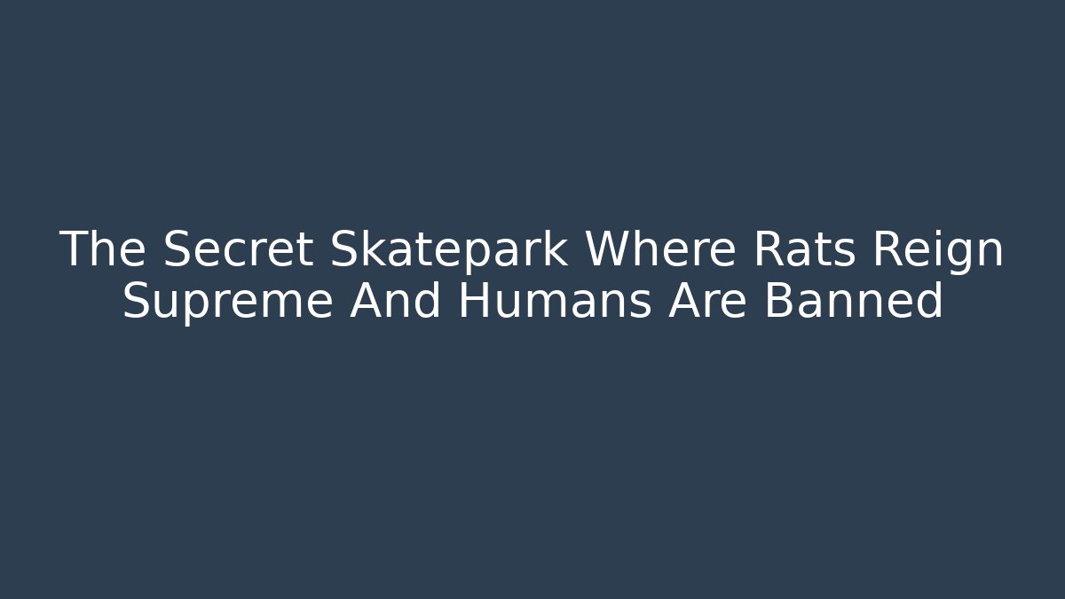 The Secret Skatepark Where Rats Reign Supreme And Humans Are Banned