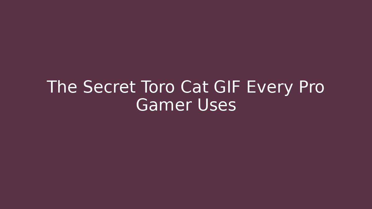 The Secret Toro Cat GIF Every Pro Gamer Uses