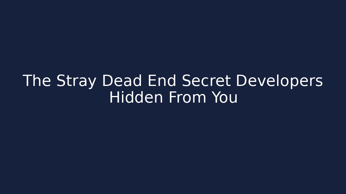 The Stray Dead End Secret Developers Hidden From You