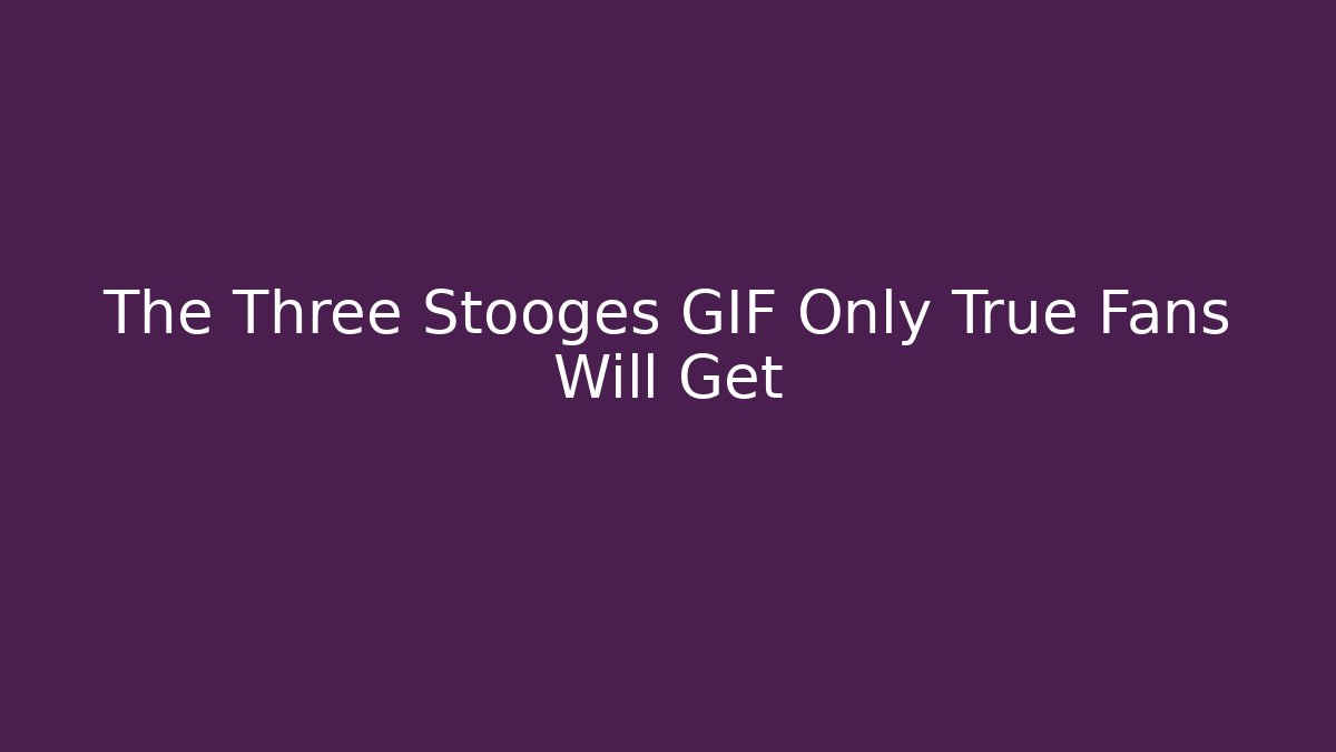 The Three Stooges GIF Only True Fans Will Get