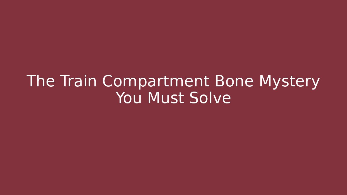 The Train Compartment Bone Mystery You Must Solve
