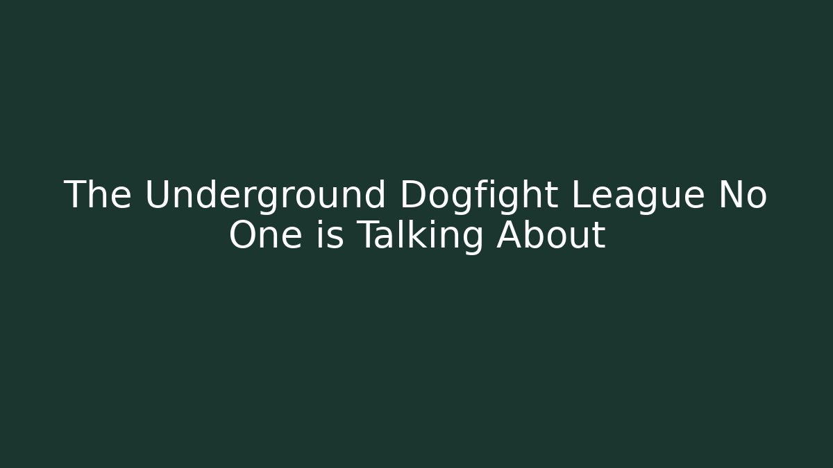 The Underground Dogfight League No One is Talking About