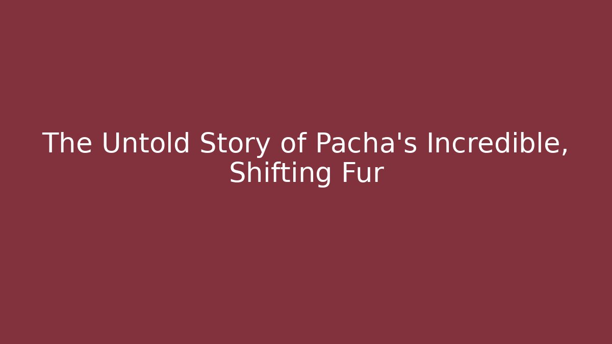 The Untold Story of Pacha's Incredible, Shifting Fur
