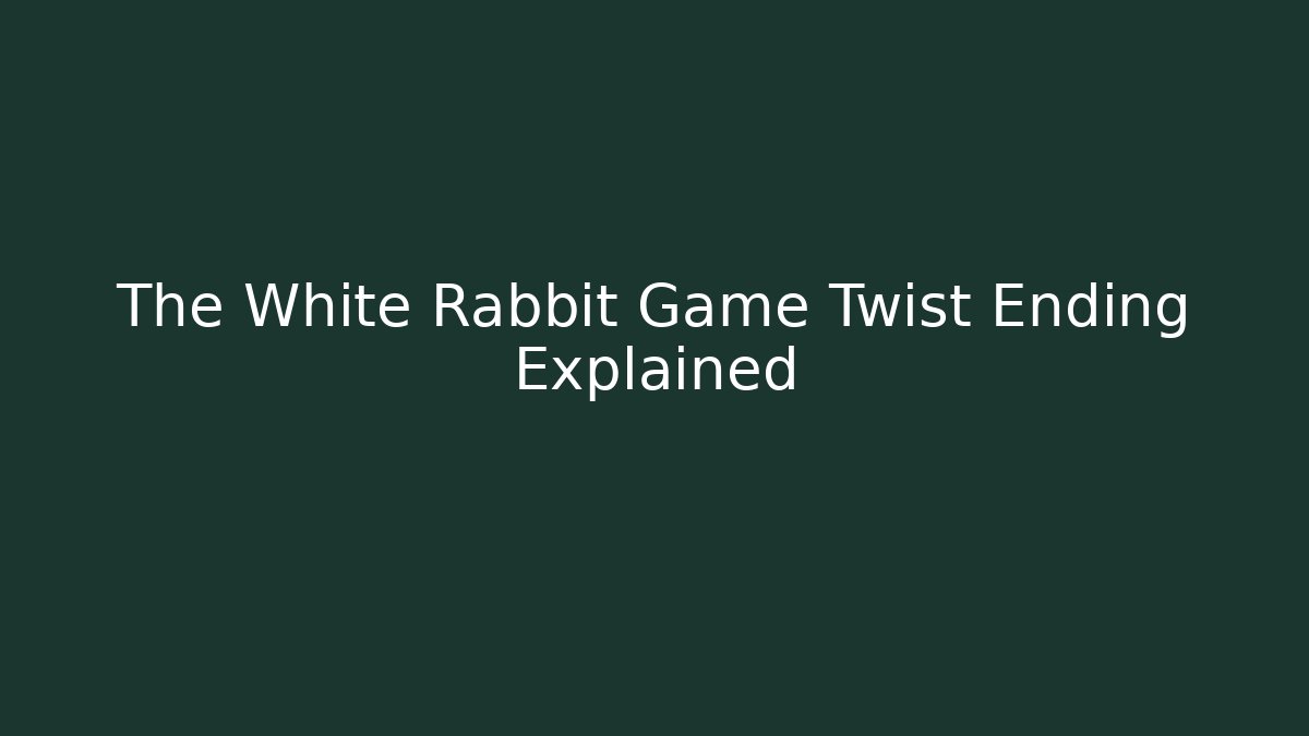 The White Rabbit Game Twist Ending Explained