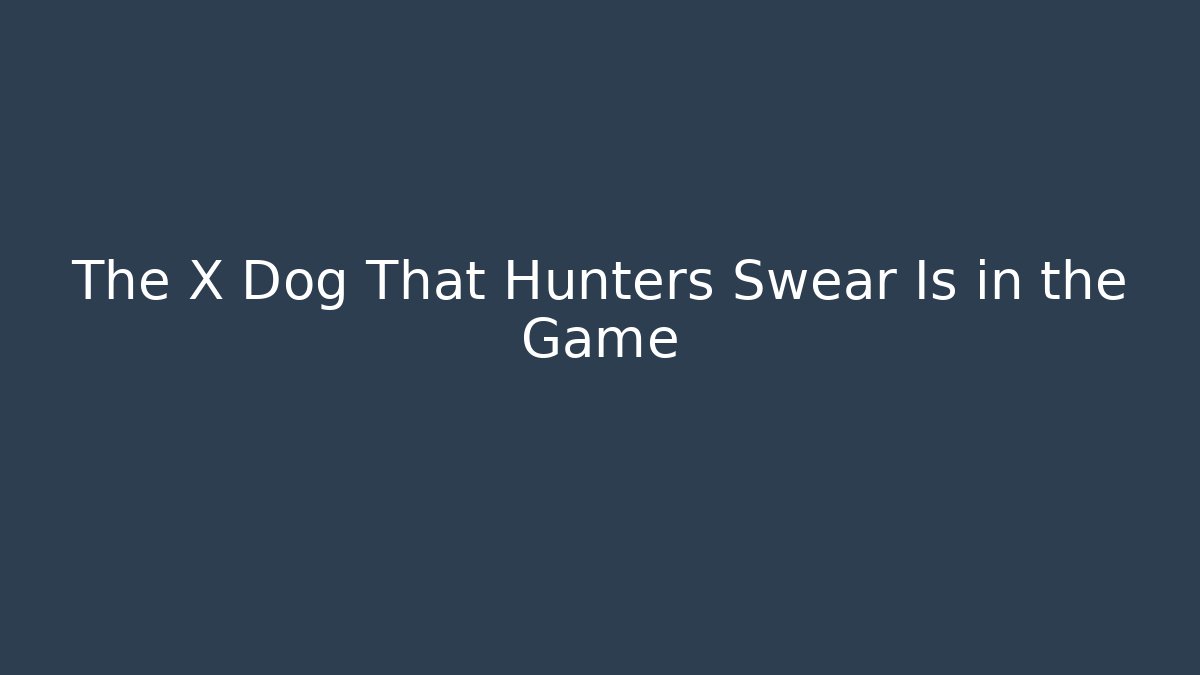 The X Dog That Hunters Swear Is in the Game - Método de Aprovação
