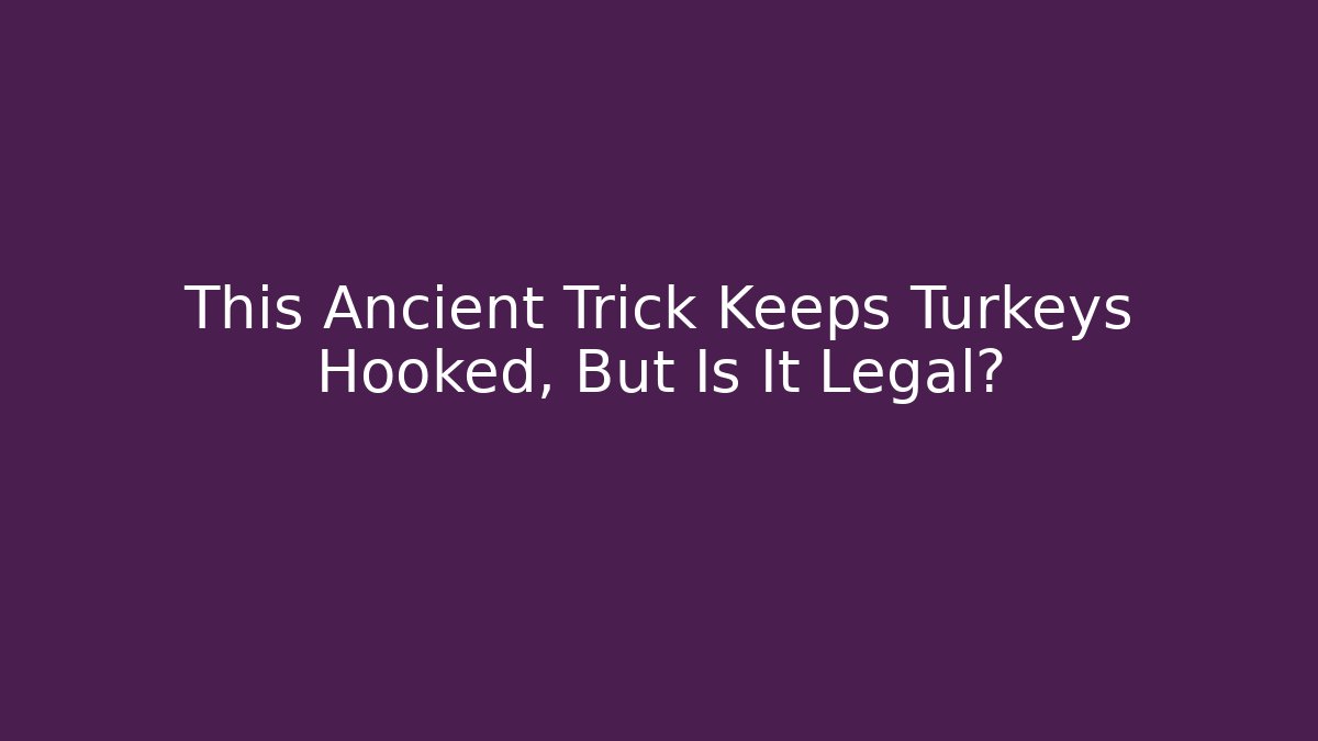 This Ancient Trick Keeps Turkeys Hooked, But Is It Legal? - Método de Aprovação