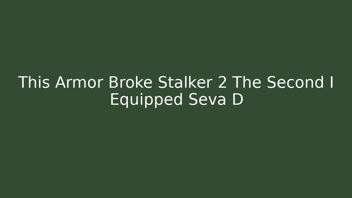 This Armor Broke Stalker 2 The Second I Equipped Seva D