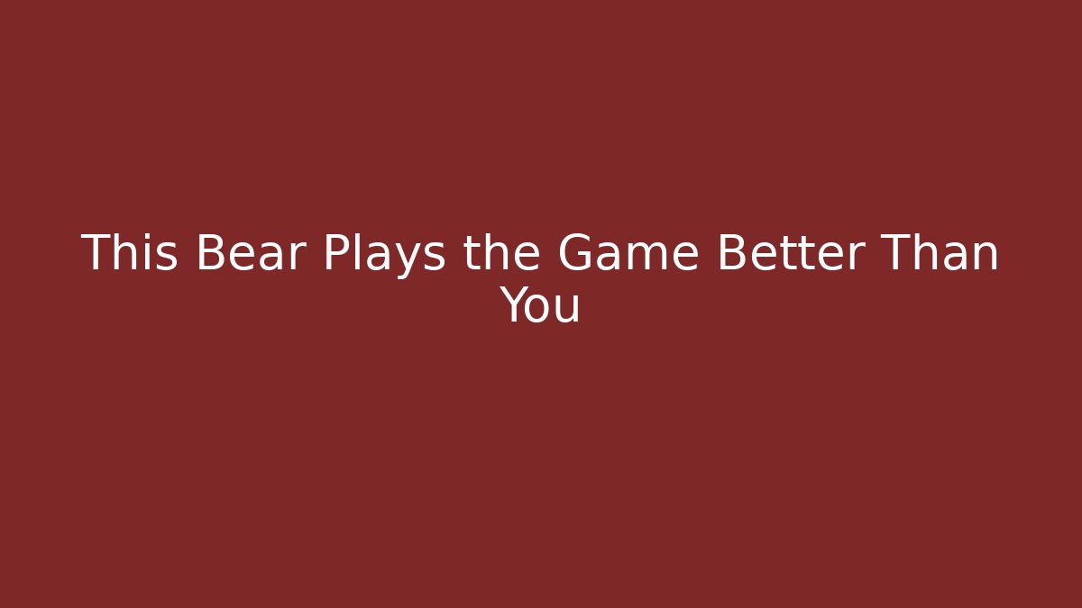 This Bear Plays the Game Better Than You
