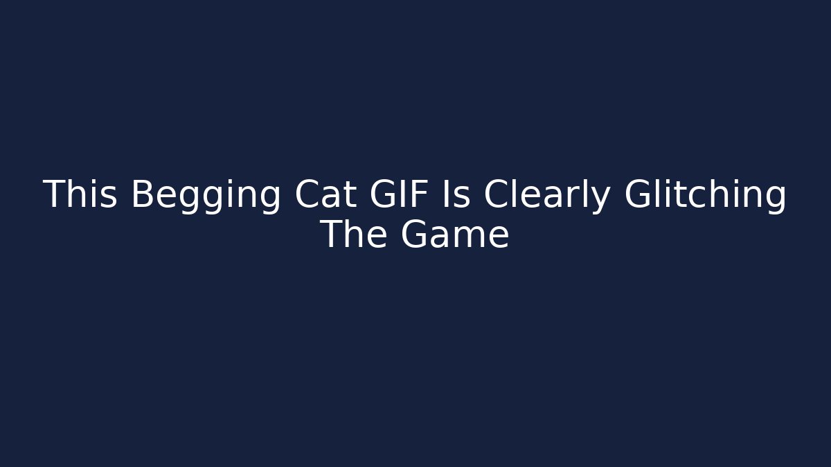 This Begging Cat GIF Is Clearly Glitching The Game