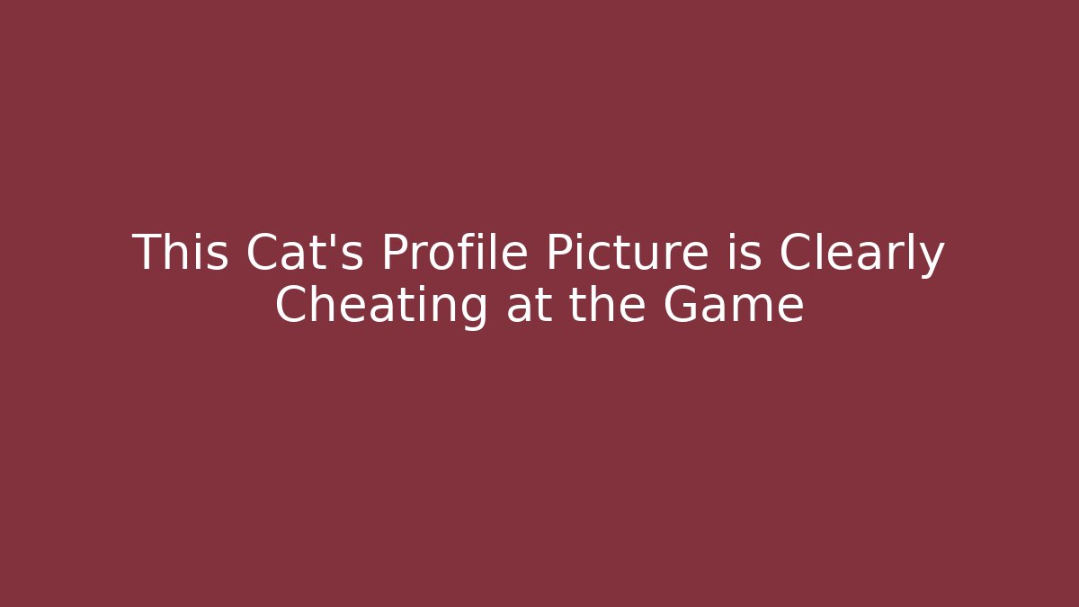 This Cat's Profile Picture is Clearly Cheating at the Game