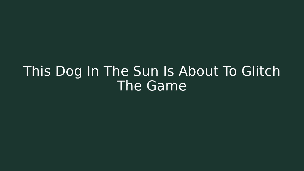 This Dog In The Sun Is About To Glitch The Game
