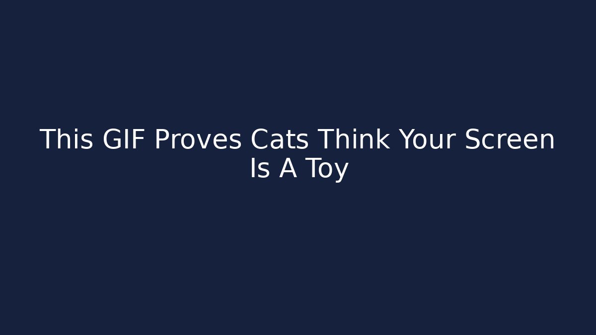 This GIF Proves Cats Think Your Screen Is A Toy