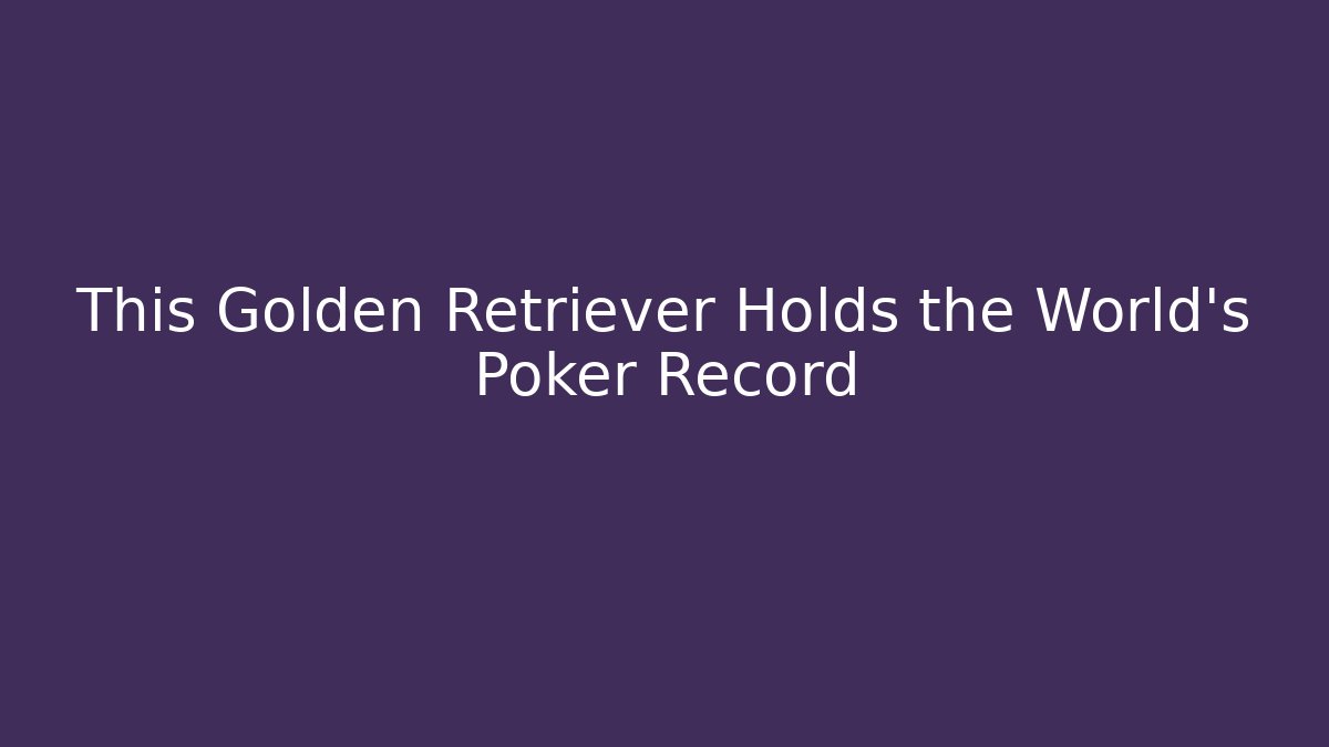 This Golden Retriever Holds the World's Poker Record