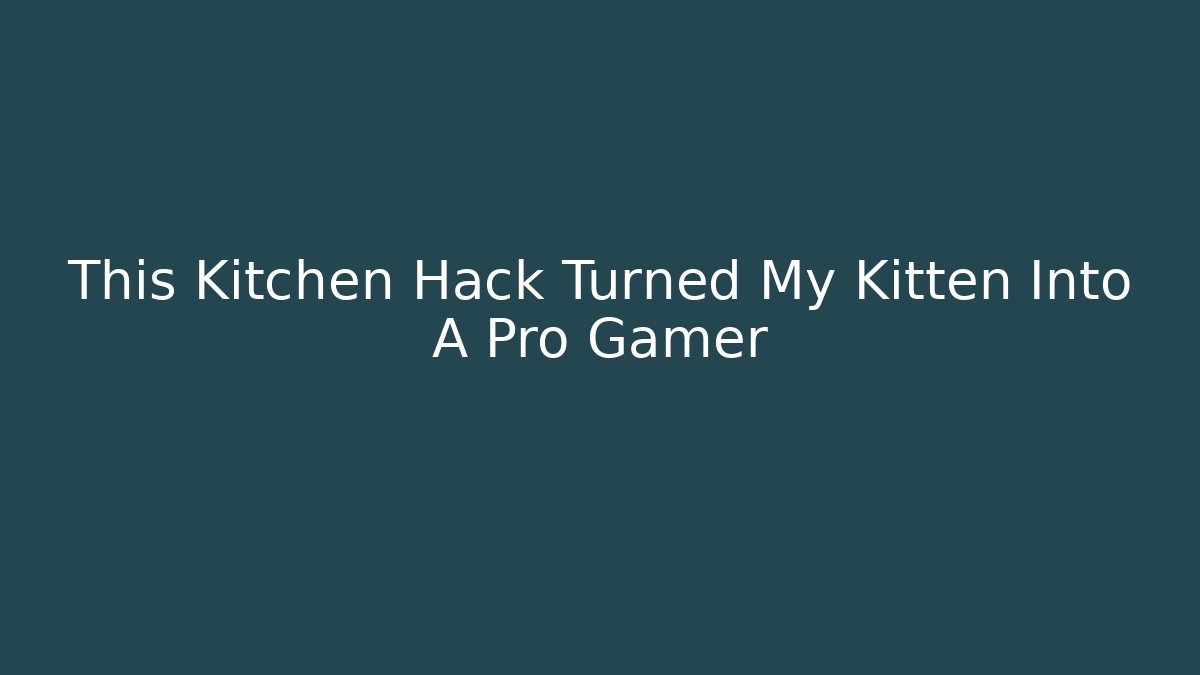 This Kitchen Hack Turned My Kitten Into A Pro Gamer - Método de Aprovação