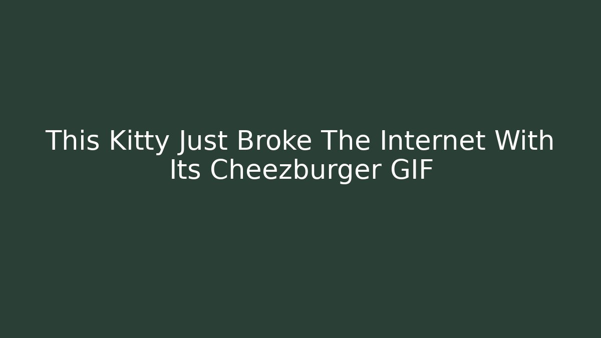 This Kitty Just Broke The Internet With Its Cheezburger GIF