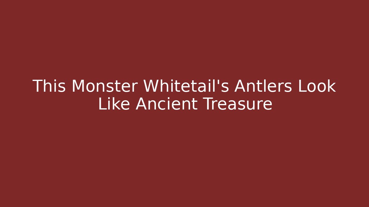 This Monster Whitetail's Antlers Look Like Ancient Treasure