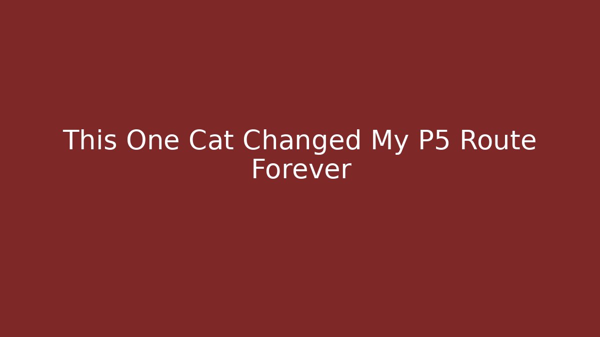 This One Cat Changed My P5 Route Forever
