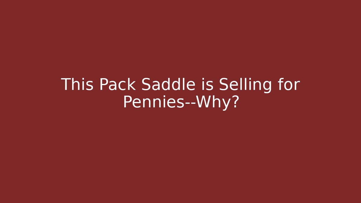 This Pack Saddle is Selling for Pennies—Why?