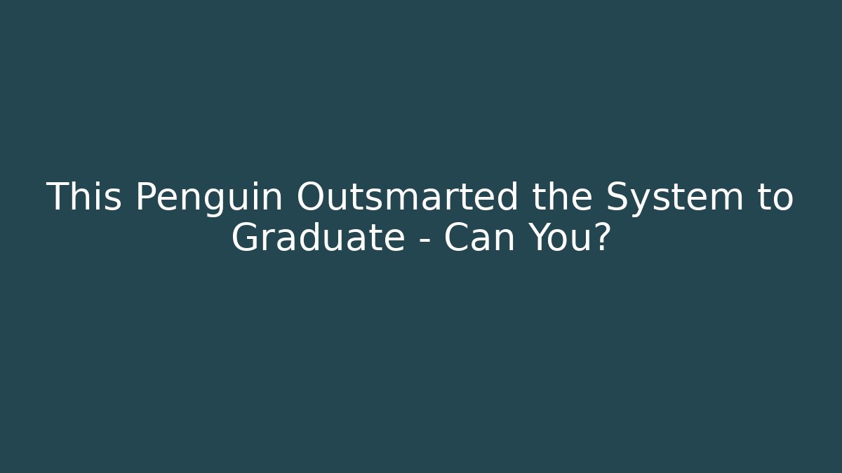 This Penguin Outsmarted the System to Graduate - Can You?