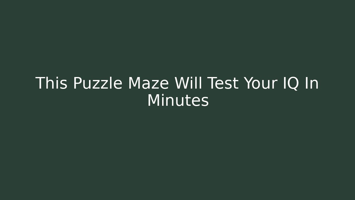 This Puzzle Maze Will Test Your IQ In Minutes