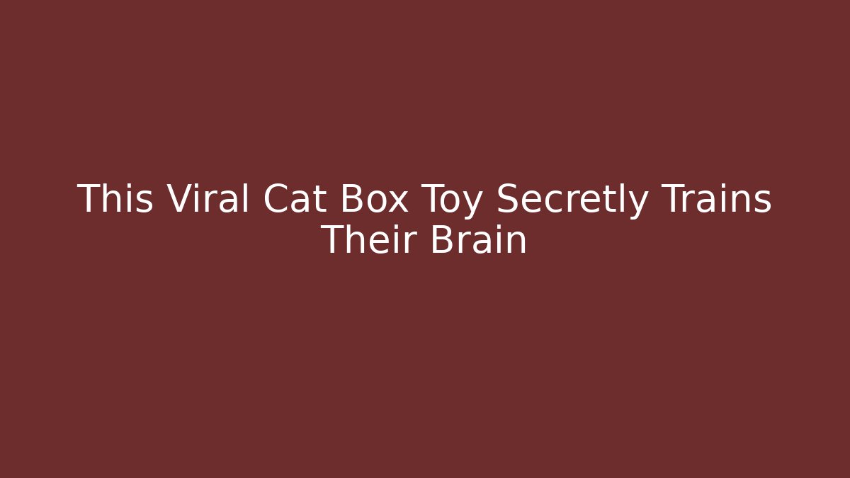 This Viral Cat Box Toy Secretly Trains Their Brain