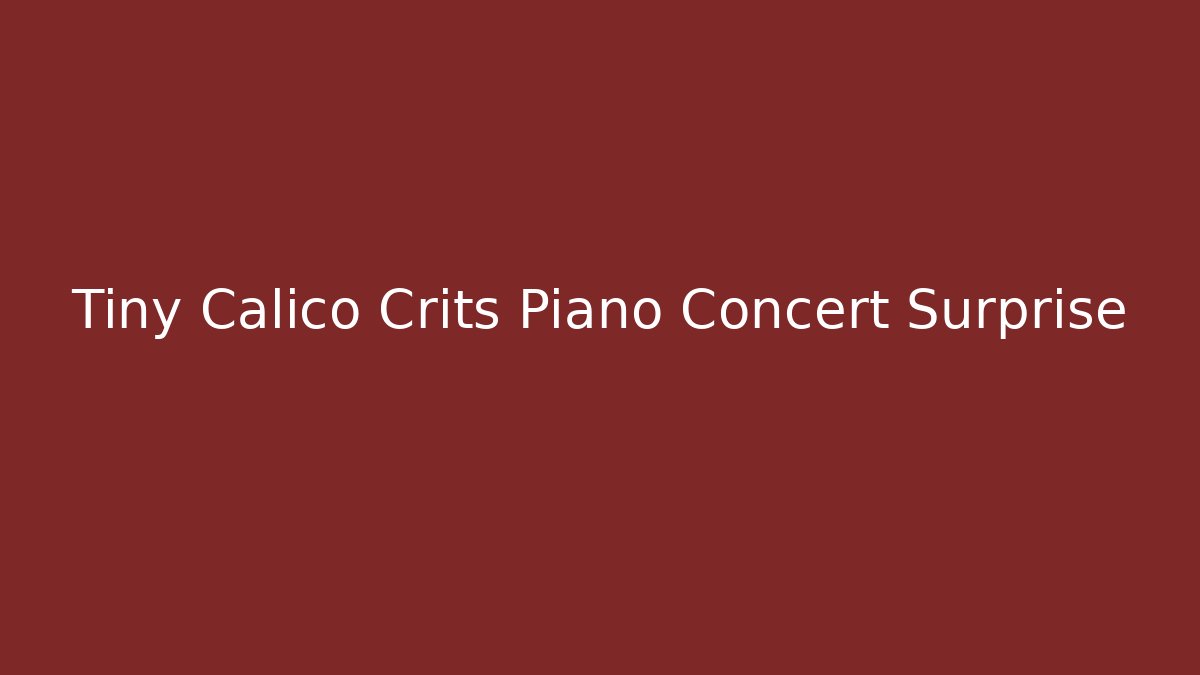 Tiny Calico Crits Piano Concert Surprise