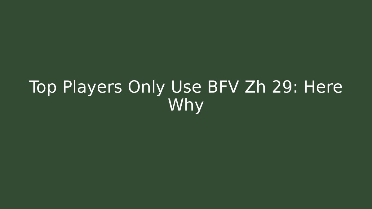 Top Players Only Use BFV Zh 29: Here Why