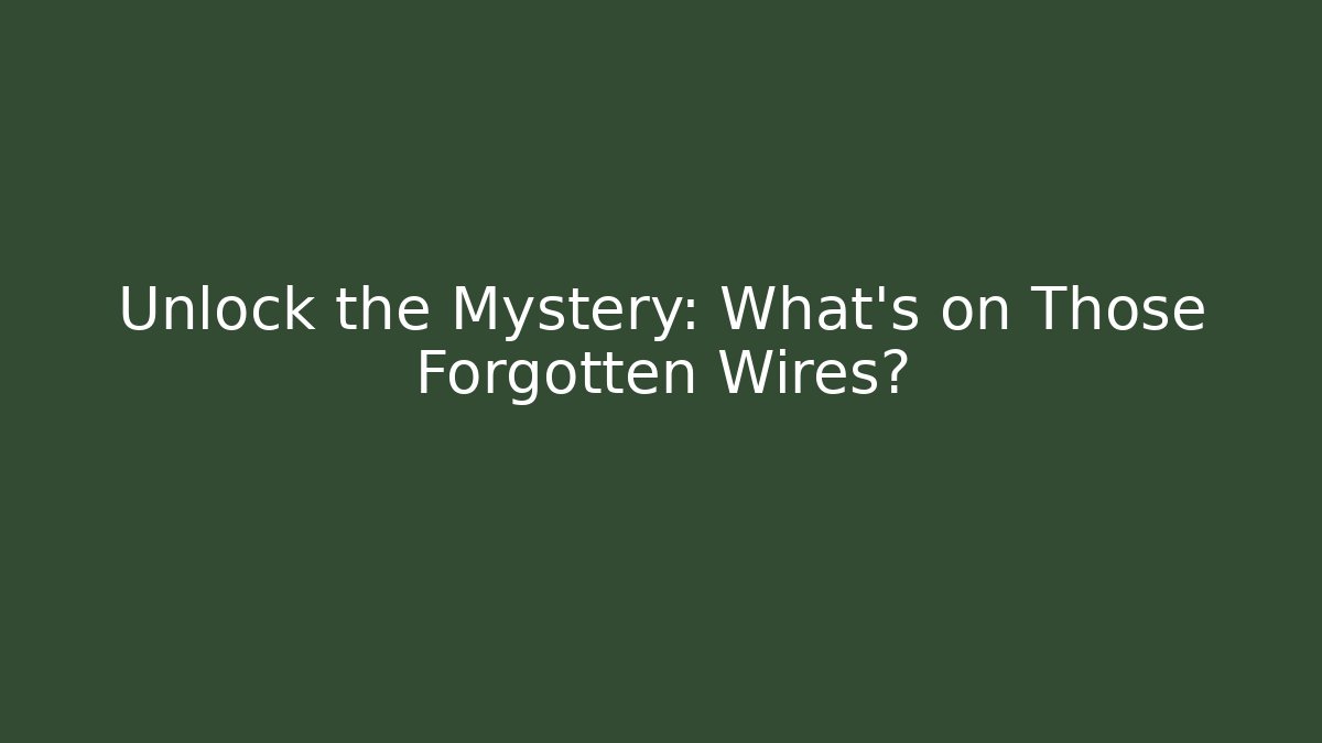 Unlock the Mystery: What’s on Those Forgotten Wires?