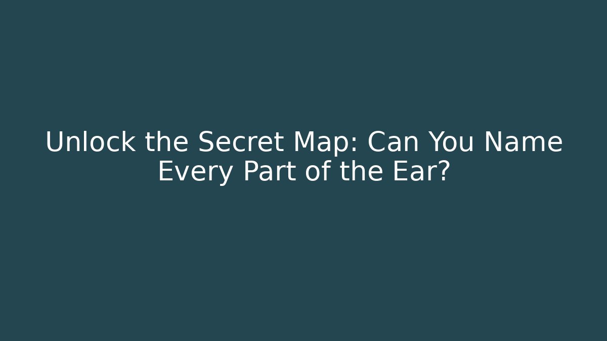 Unlock the Secret Map: Can You Name Every Part of the Ear?