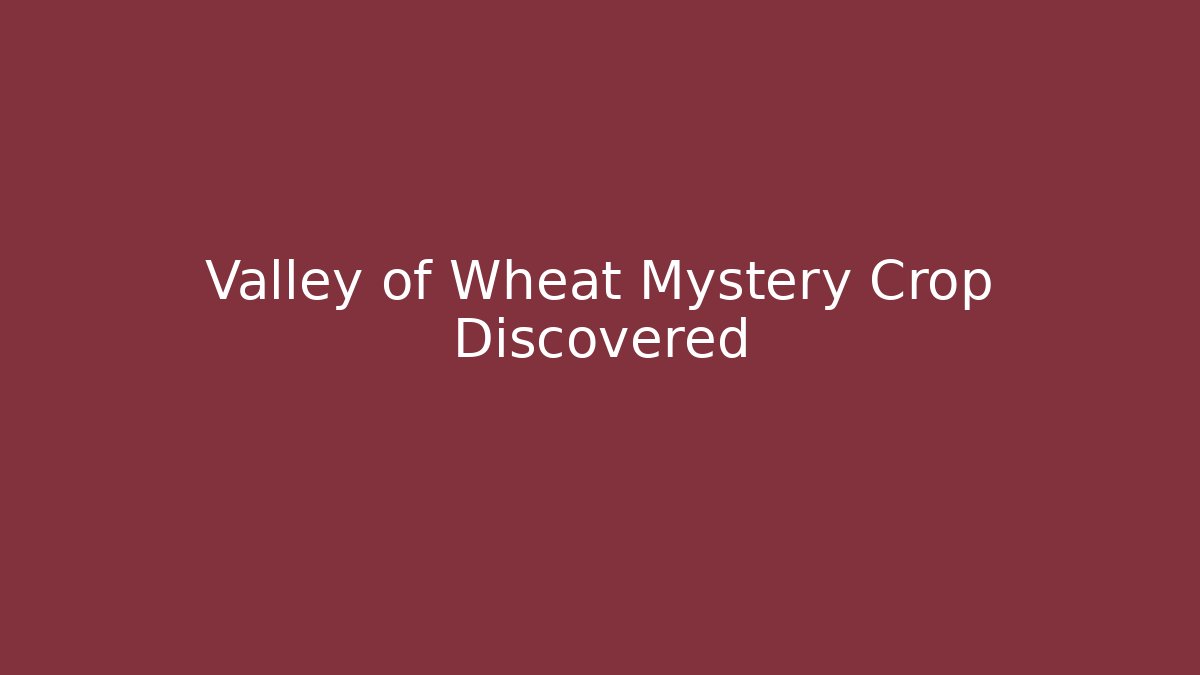 Valley of Wheat Mystery Crop Discovered