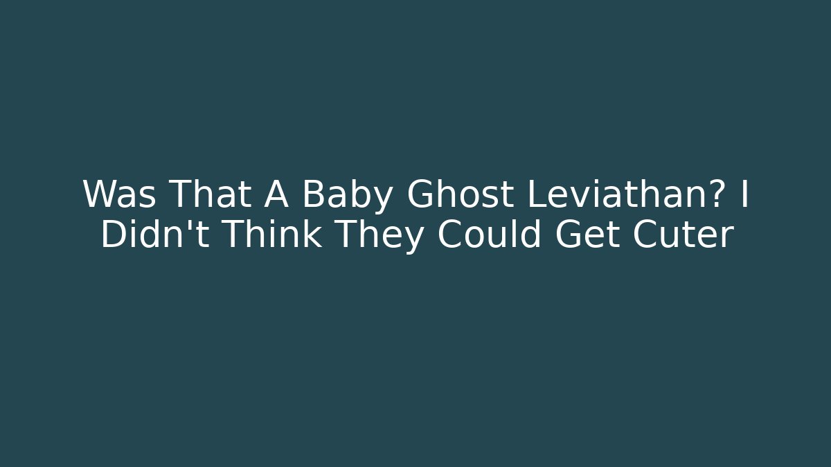 Was That A Baby Ghost Leviathan? I Didn't Think They Could Get Cuter