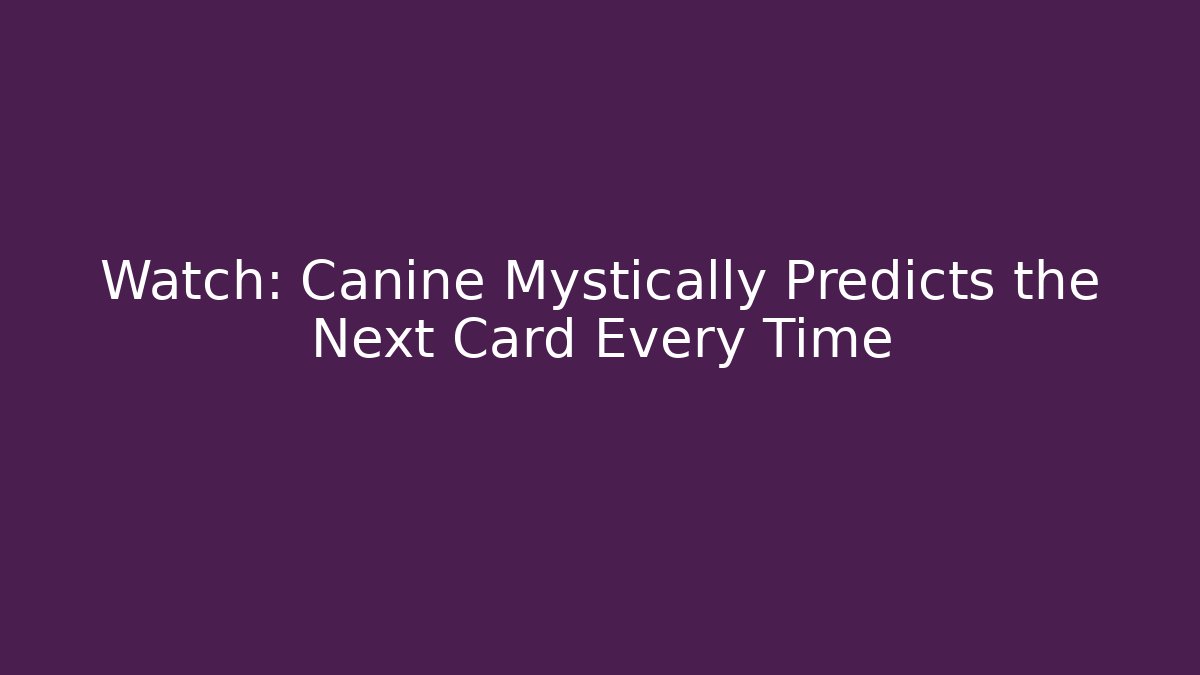 Watch: Canine Mystically Predicts the Next Card Every Time
