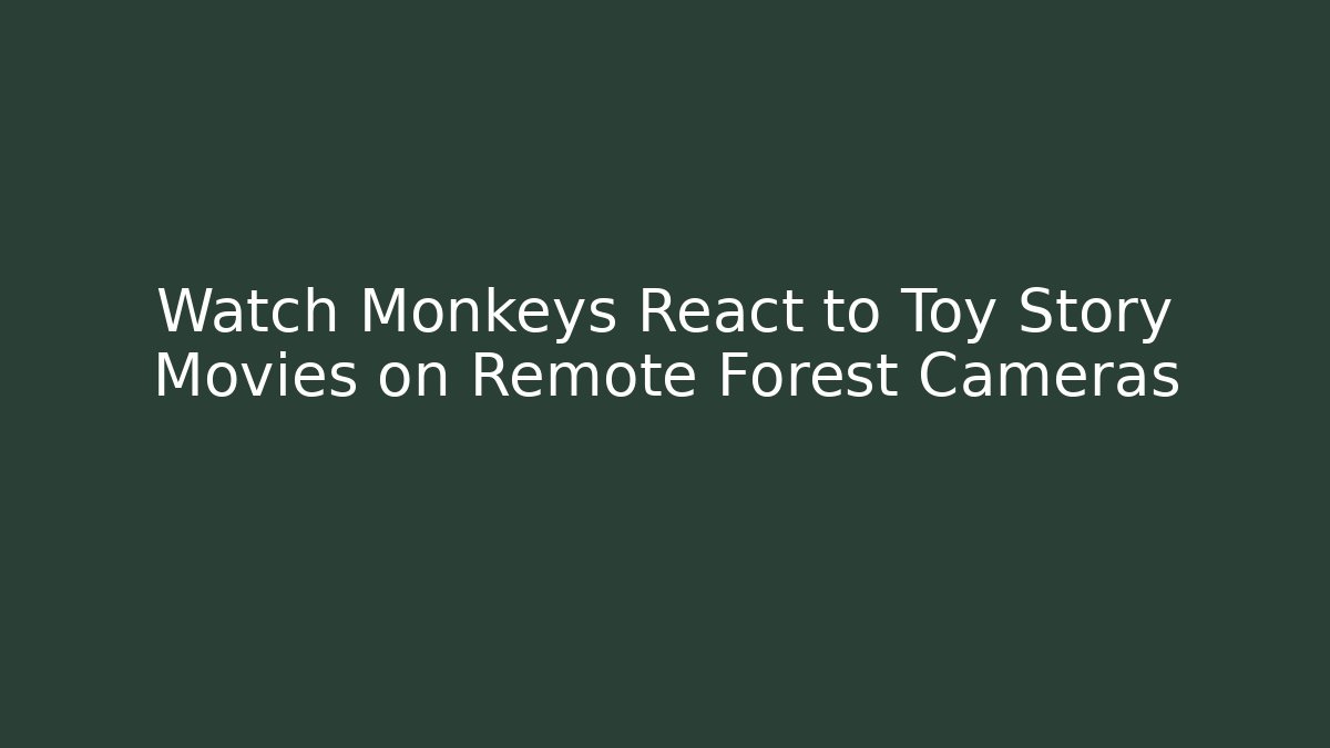 Watch Monkeys React to Toy Story Movies on Remote Forest Cameras